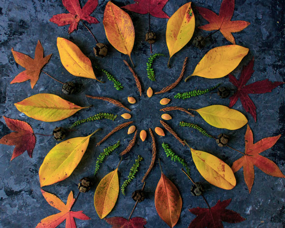 specialist therapeutic service in Shropshire